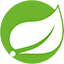 Java Spring logo